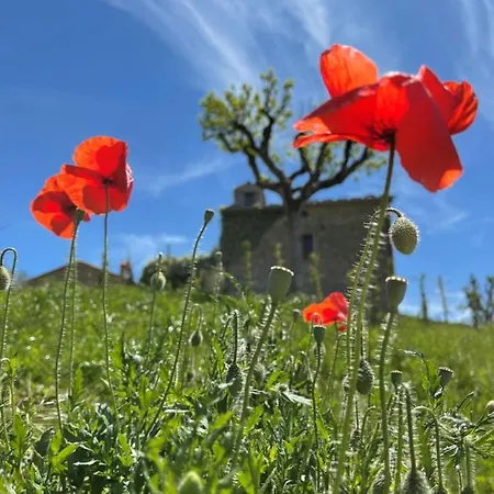 Country House Ca' Di Nieri - The Saints' * Monte Santa Maria Tiberina