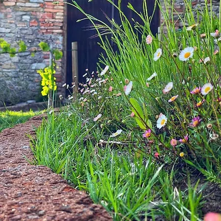 Villa Country House Ca' Di Nieri - The Saints' *