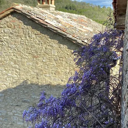 Country House Ca' Di Nieri - The Saints' *